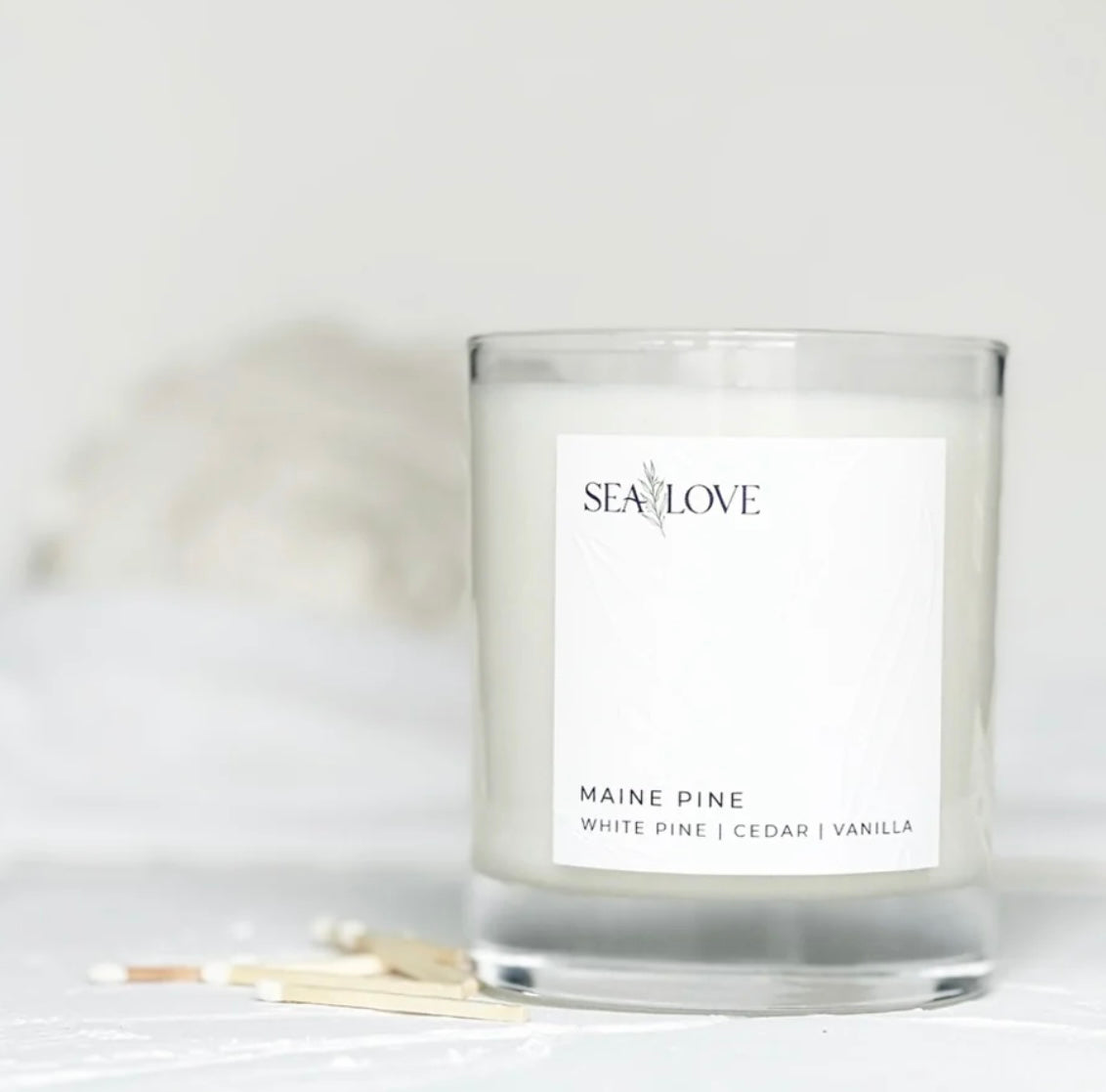 MAINE PINE SOY CANDLE