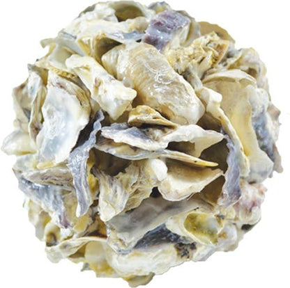 Oyster Shell Orb 6"