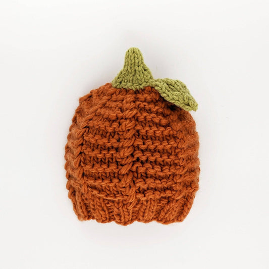 Baby Beanie Hat